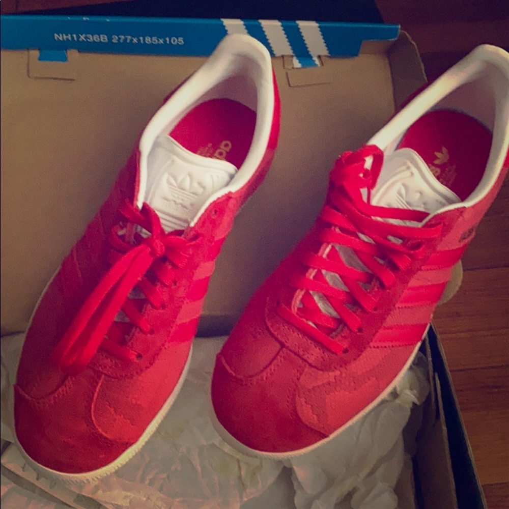 Gazelle